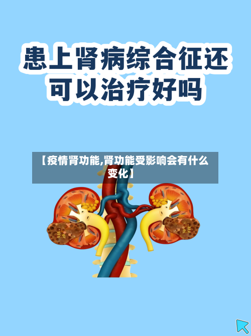 【疫情肾功能,肾功能受影响会有什么变化】-第3张图片