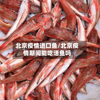北京疫情进口鱼/北京疫情期间能吃活鱼吗