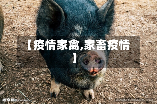 【疫情家禽,家畜疫情】-第2张图片