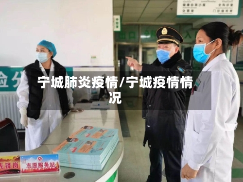 宁城肺炎疫情/宁城疫情情况