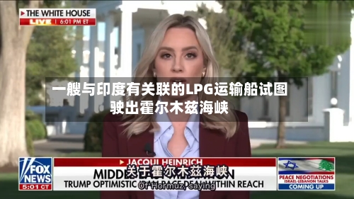 一艘与印度有关联的LPG运输船试图驶出霍尔木兹海峡