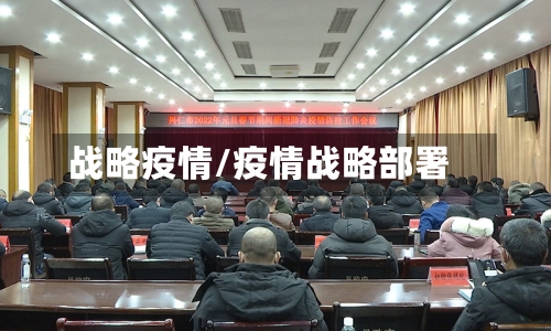 战略疫情/疫情战略部署