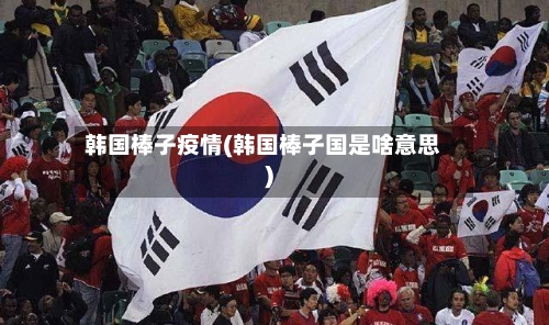 韩国棒子疫情(韩国棒子国是啥意思)