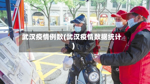 武汉疫情例数(武汉疫情数据统计)