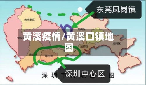 黄溪疫情/黄溪口镇地图
