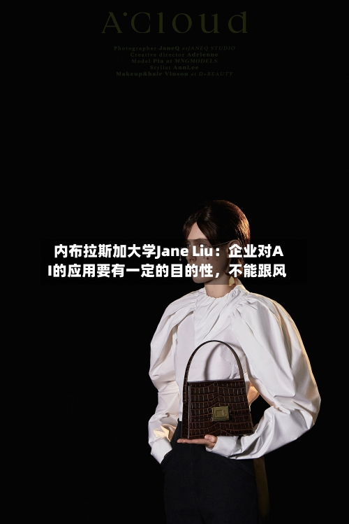 内布拉斯加大学Jane Liu：企业对AI的应用要有一定的目的性，不能跟风