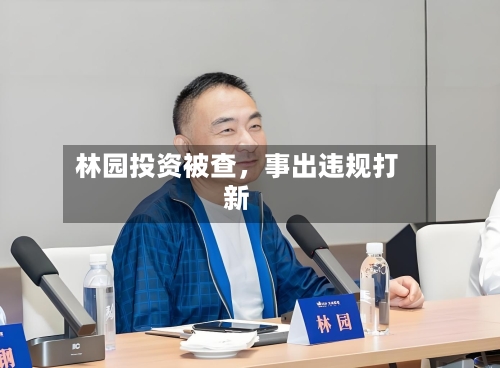 林园投资被查，事出违规打新