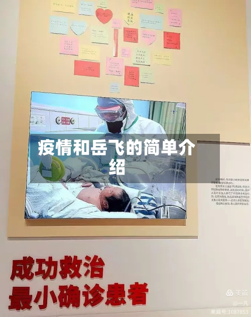 疫情和岳飞的简单介绍