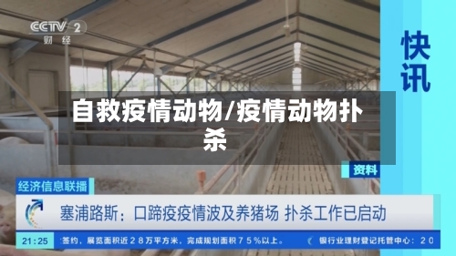 自救疫情动物/疫情动物扑杀