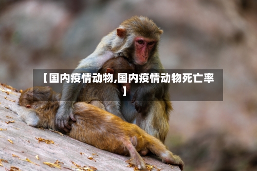 【国内疫情动物,国内疫情动物死亡率】