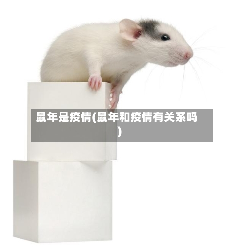 鼠年是疫情(鼠年和疫情有关系吗)