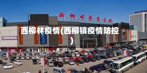 西柳林疫情(西柳镇疫情防控)