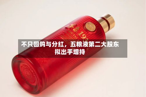 不只回购与分红，五粮液第二大股东拟出手增持