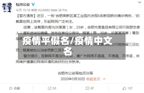 疫情平假名/疫情中文名