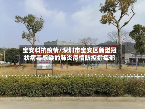 宝安料抗疫情/深圳市宝安区新型冠状病毒感染的肺炎疫情防控指挥部