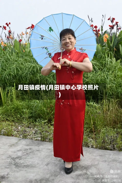 月田镇疫情(月田镇中心学校照片)