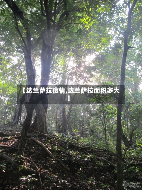 【达兰萨拉疫情,达兰萨拉面积多大】