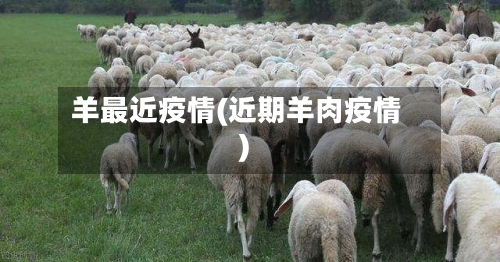羊最近疫情(近期羊肉疫情)