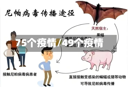 75个疫情/49个疫情