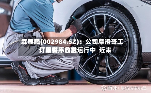 森麒麟(002984.SZ)：公司摩洛哥工厂正有序放量运行中  近来订单供不应求