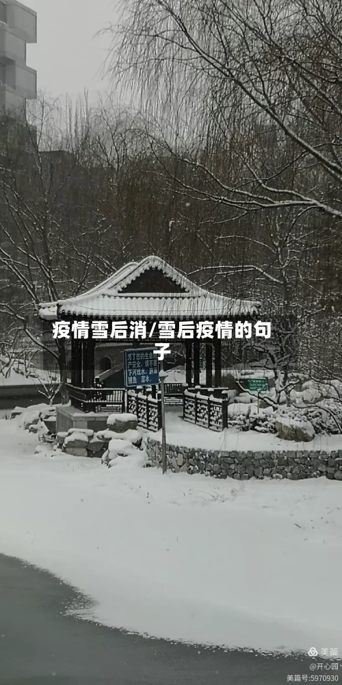 疫情雪后消/雪后疫情的句子
