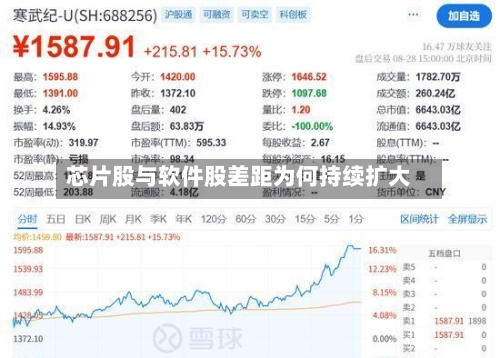 芯片股与软件股差距为何持续扩大