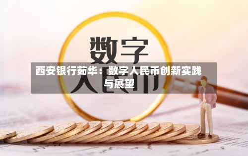 西安银行茹华：数字人民币创新实践与展望