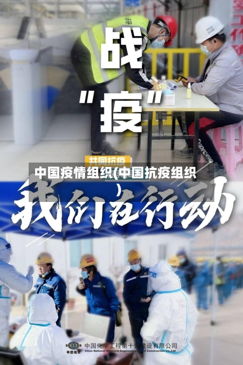 中国疫情组织(中国抗疫组织)