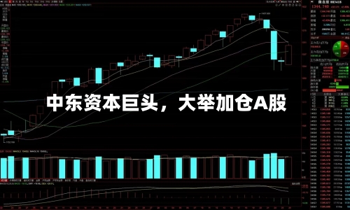 中东资本巨头,大举加仓A股