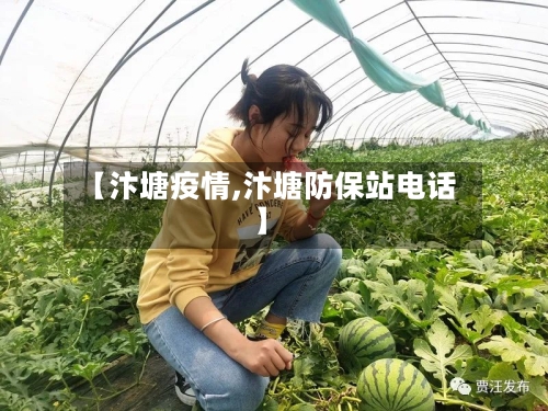 【汴塘疫情,汴塘防保站电话】